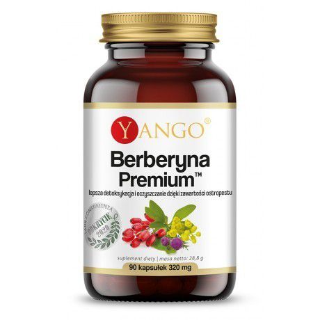 Yango Berberyna Premium 90  kontrola cukru