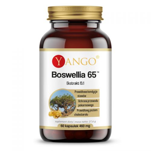 Yango Boswellia 65Tm 300 Mg 60 t Kadzidłowiec