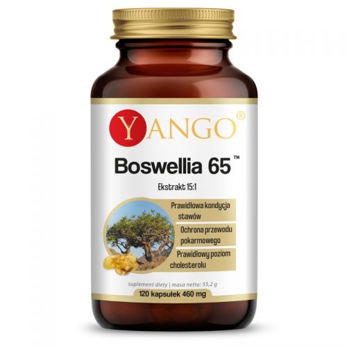 Yango Boswellia 65Tm 300 Mg 120 Tabl. Kadzidłowiec