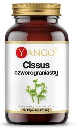 Yango Cissus Czworograniasty 470 mg 90 k